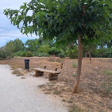 Studio Proche De Perpignan Peyrestortes Eksteriør billede